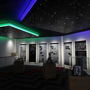 Fibre Optic - Star Panel