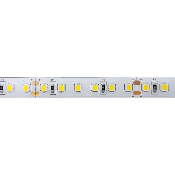 RS19WP-24