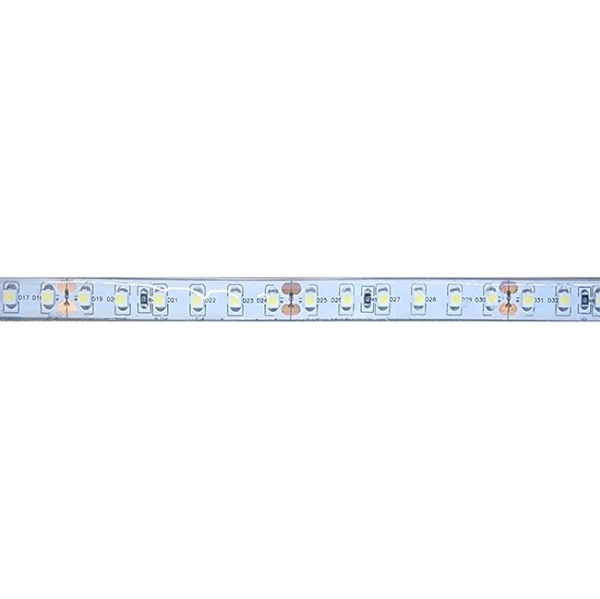 RS11WP-24