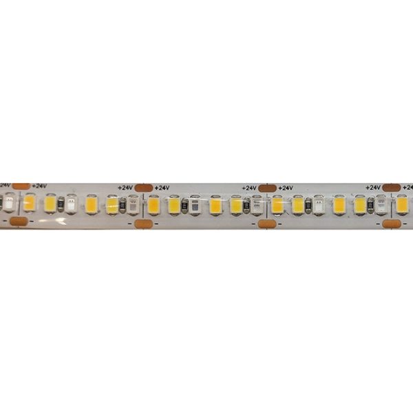RS-EWP-20-M